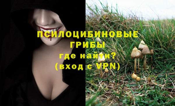 MDMA Гусев