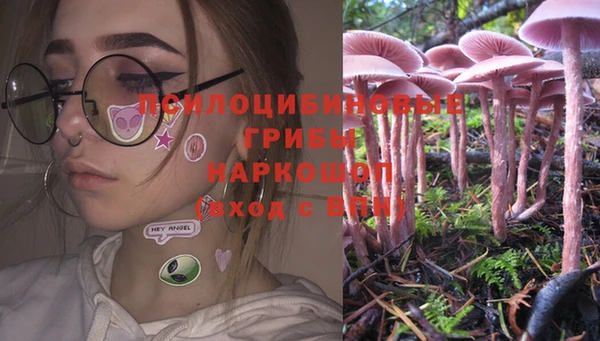 стафф Гусиноозёрск