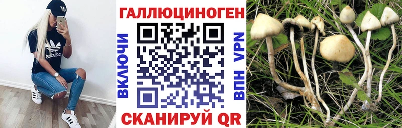 Галлюциногенные грибы Psilocybine cubensis  Сургут 