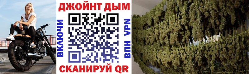 Шишки марихуана конопля  купить наркотики сайты  Сургут 